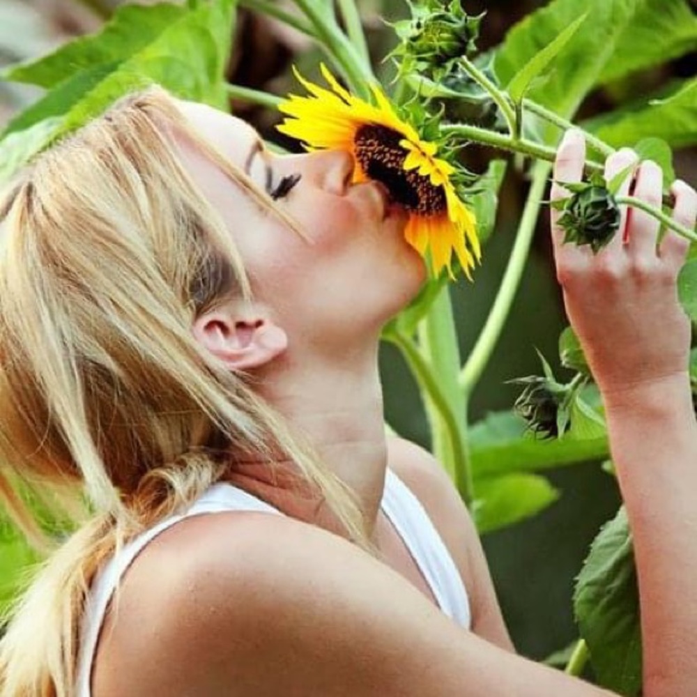 Meet your Posher, Katherine